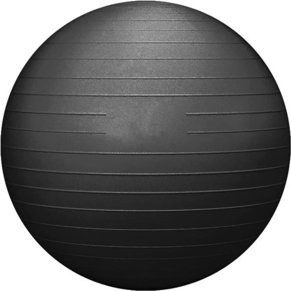 Exercise Ball Yoga Ball - Anti-Burst Workout Ball with Quick Pump
